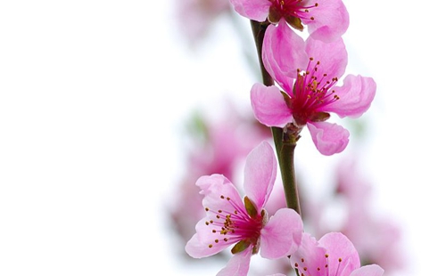 20200628_125557_000.jpg 20200628_125557_000.jpg